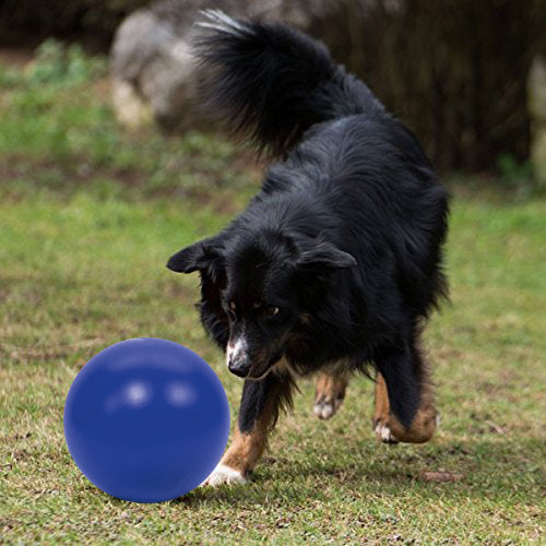 PROCYON Drijfbal - Blauw