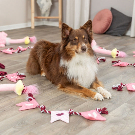 Trixie Hondenspeelgoed Valentines Touw