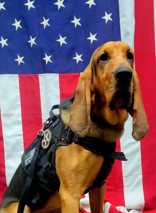 Tragisch verlies: politiehond Georgia sterft in hete patrouillewagen.