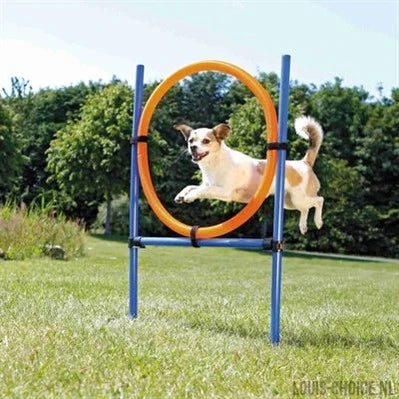 Training overig
