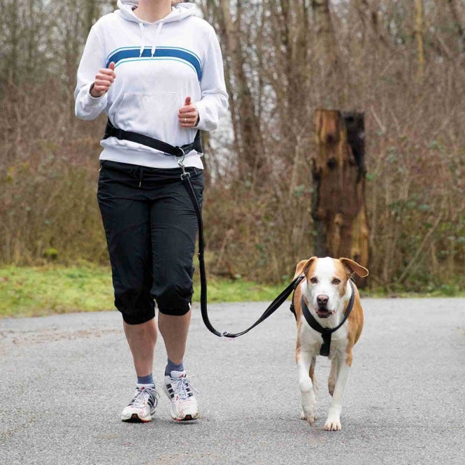Trixie Buikgordel met Lijn voor Middelgrote en Grote Honden - 75-120 cm