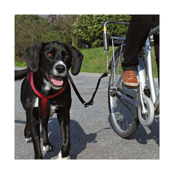 Trixie Biker-Set - Maat S-M