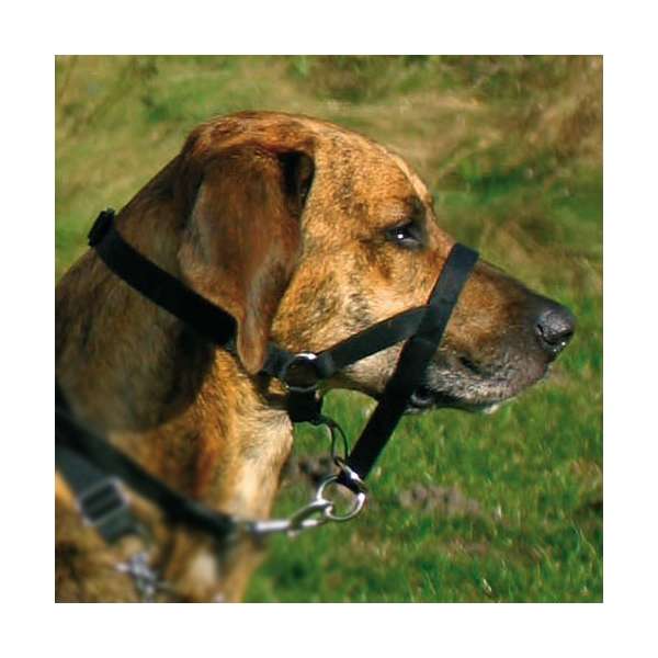 Trixie Top Trainer trainingsharnas - max. 37 cm