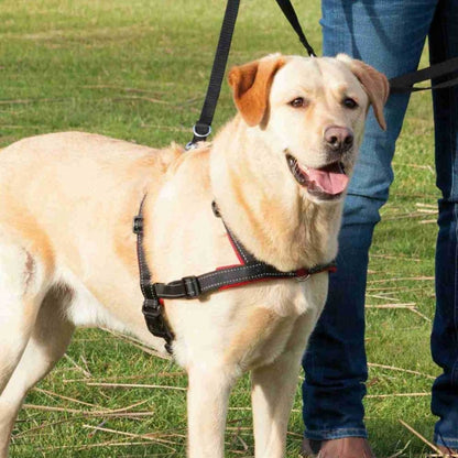 Trixie - Trainingsharnas Lead'n'Walk Soft - M-L
