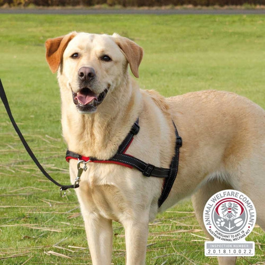 Trixie - Trainingsharnas Lead'n'Walk Soft - L-XL