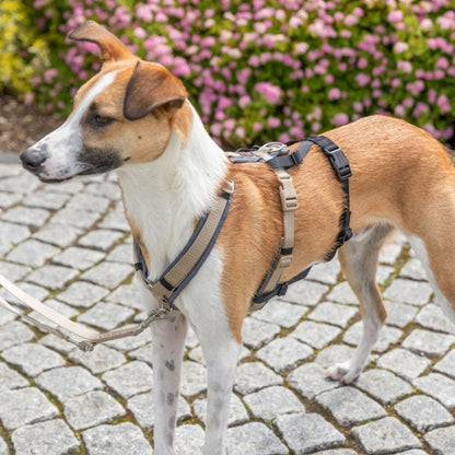 Trixie Paniek-Adapter Stay voor Tuigen - L-XL / 59-92 cm