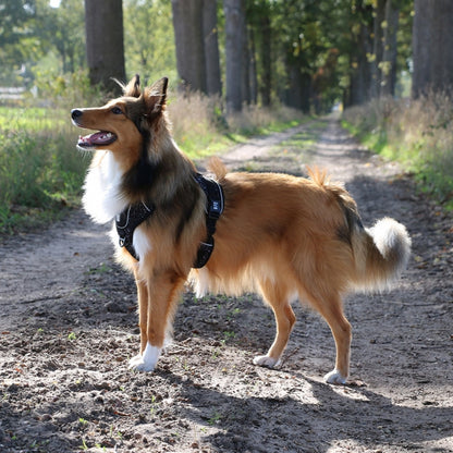 Duvoplus - EXPLOR Ultimate Fit No-Pull-Harnas - Graniet zwart - XS - 28-37cm - 32-43cm