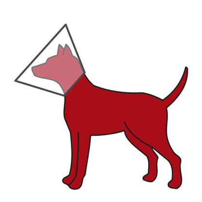 Trixie plastic beschermkraag - XS: ø 22-25 cm/7 cm