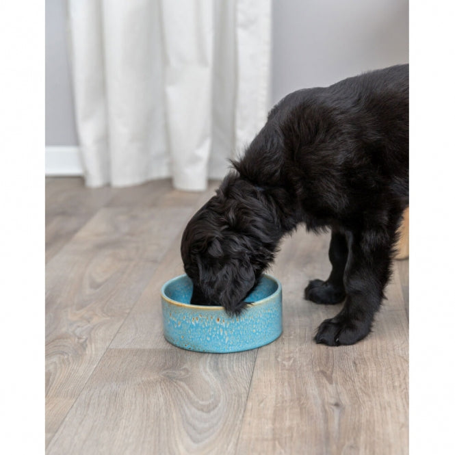 Trixie keramische kom met patroon - blauw - 0,9 l/ø 16 cm