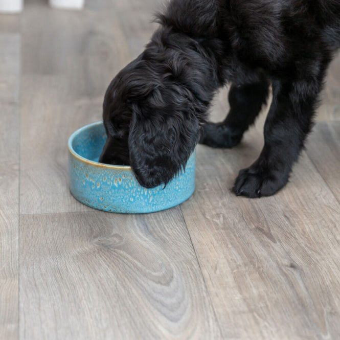 Trixie keramische kom met patroon - blauw - 0,9 l/ø 16 cm