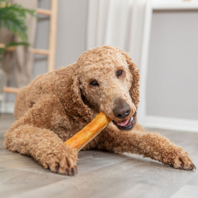 Trixie Denta Fun Roll gemaakt van collageen - 165 g