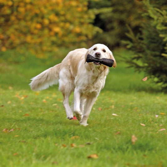 Karlie Apporteer SNACK DUMMY - 22 cm