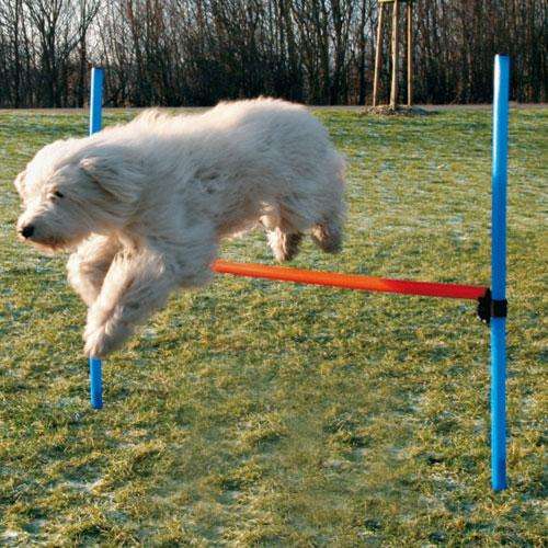 Trixie Agility Hindernis