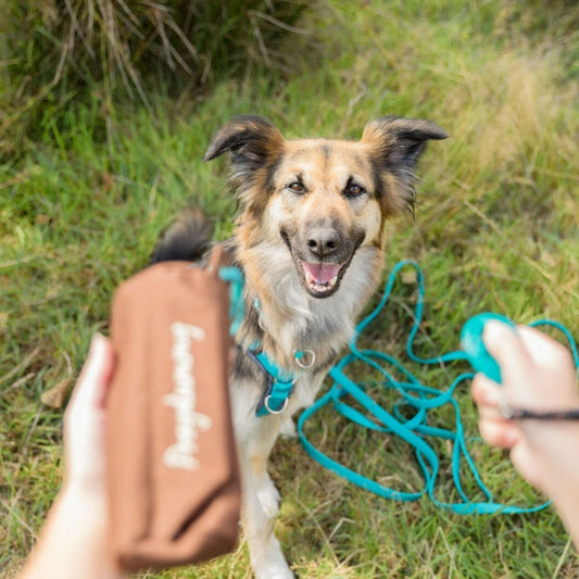 Trixie - Preydummy - Canvas Bruin - 5 x 12 cm
