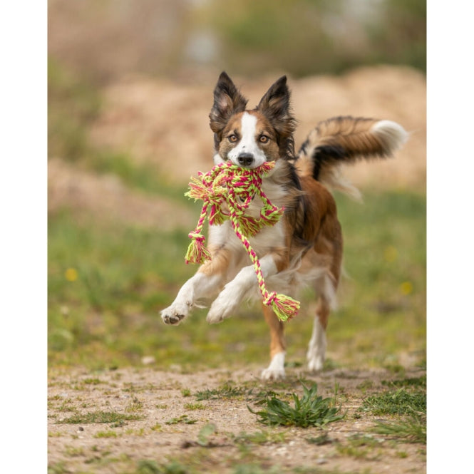 Trixie Touwspeelgoed met Bal