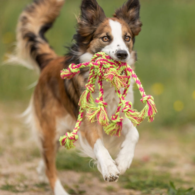 Trixie Touwspeelgoed met Bal