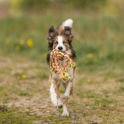 Trixie Touwspeelgoed met Bal
