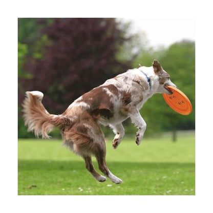 Trixie Dog Disc Frisbee Bijtbestendig - 23 cm