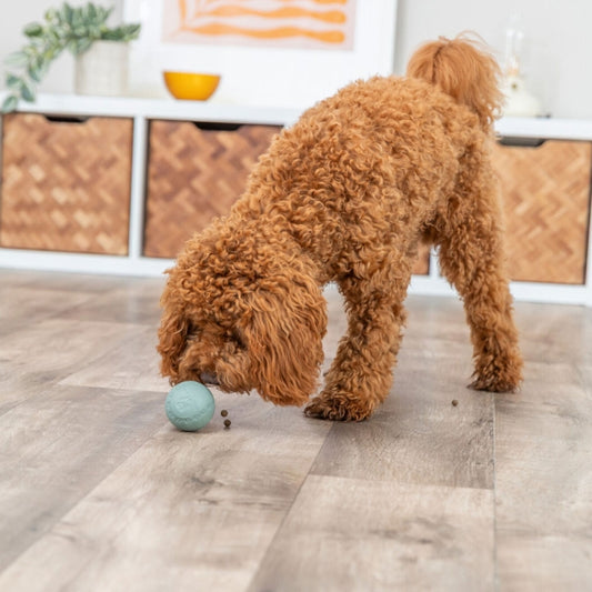 Trixie - Labyrinth Snacky - Snackbal van natuurlijk rubber - 6 cm