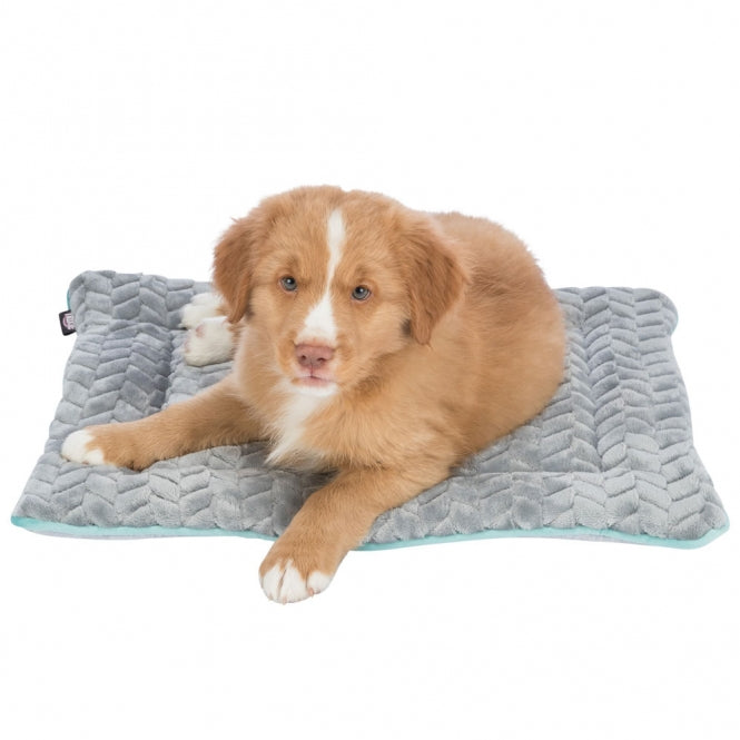 Trixie Junior mat - 70 × 50 cm