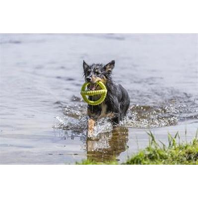 Trixie Aqua Toy Trekspeeltje Tpr Lime