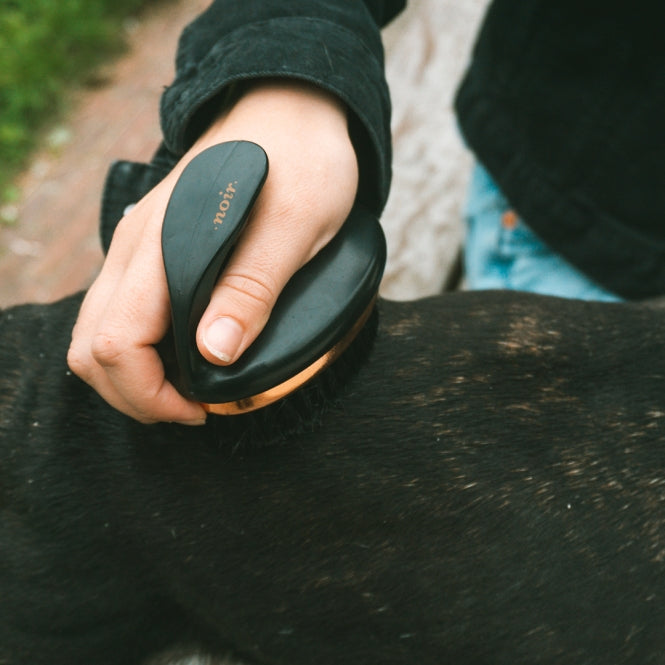 EBI Noir Ergonomische Zachte Borstel