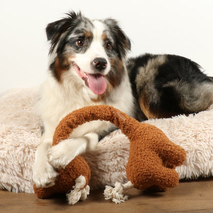 D&D Hondenspeelgoed George Teddystof - bruin
