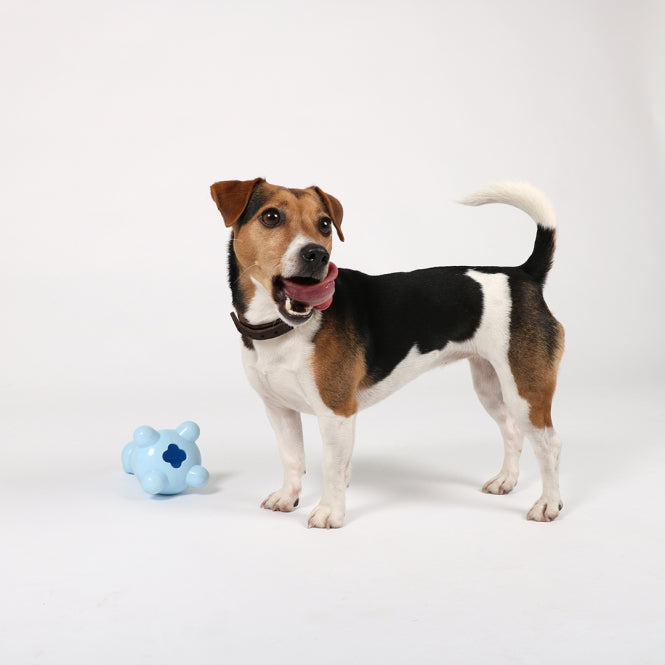 EBI Petit - Puppy Snack Toy - Gigi - Blauw