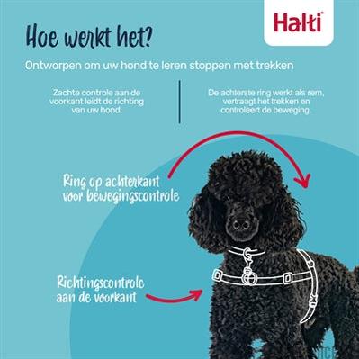 Halti Harness Front Control Zwart