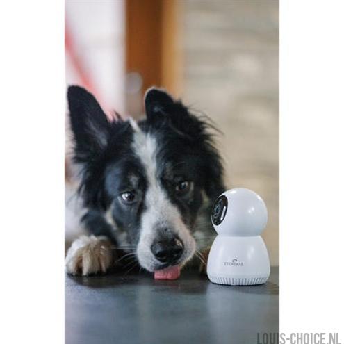 Numaxes Eyenimal Pet Vision Live Hd Camera Zonder Geluid Detectie