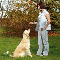 Karlie dubbele clicker