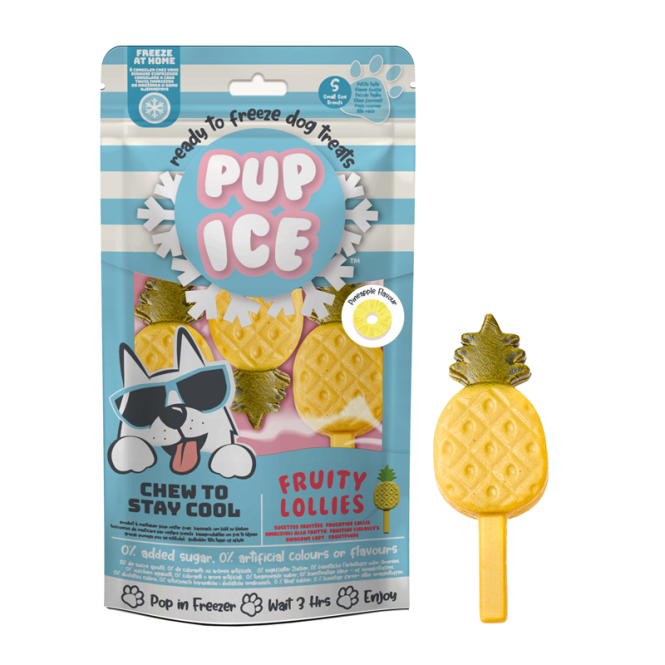 Pup Ice Fruitlollies Ananas S - 3 stuks