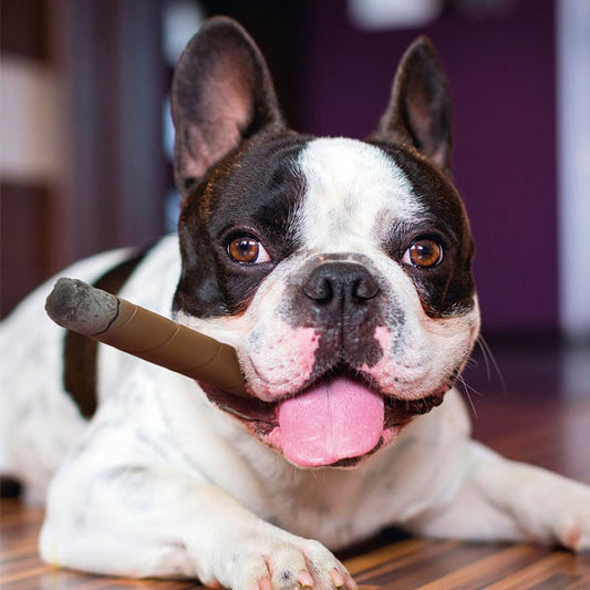 Karlie - Flamingo Latex Speelgoed Sigaar