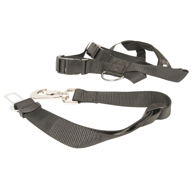 Duvoplus Auto Veiligheidstuig - S - 45-70cm