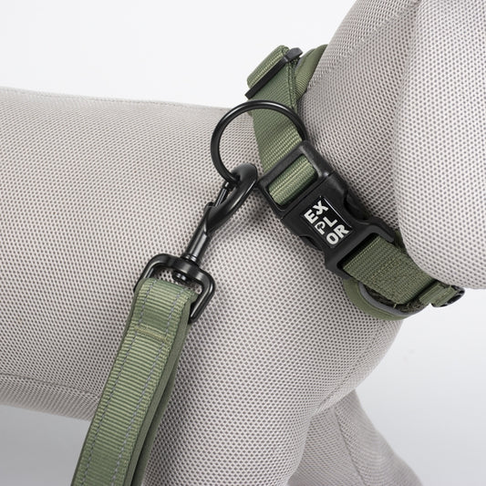 Duvoplus EXPLOR Ultimate Fit Control Halsband Classic - undercover green - S - 34-38cm