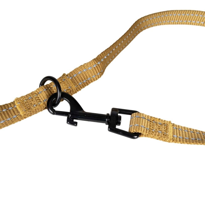 Duvoplus Trainingslijn EXPLOR Ultimate Fit Classic - honey gold - 220cm - 25mm