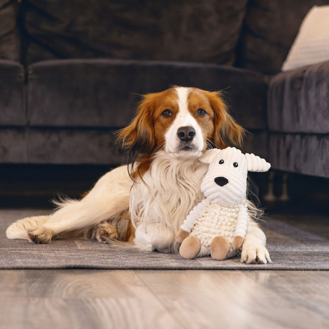 Beeztees Eco Hond Onne