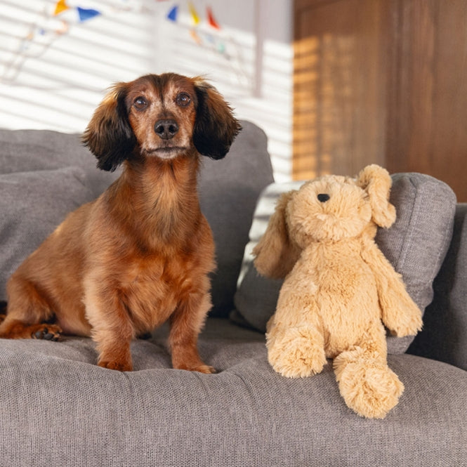 Beeztees Hondenspeelgoed Hond Vajen