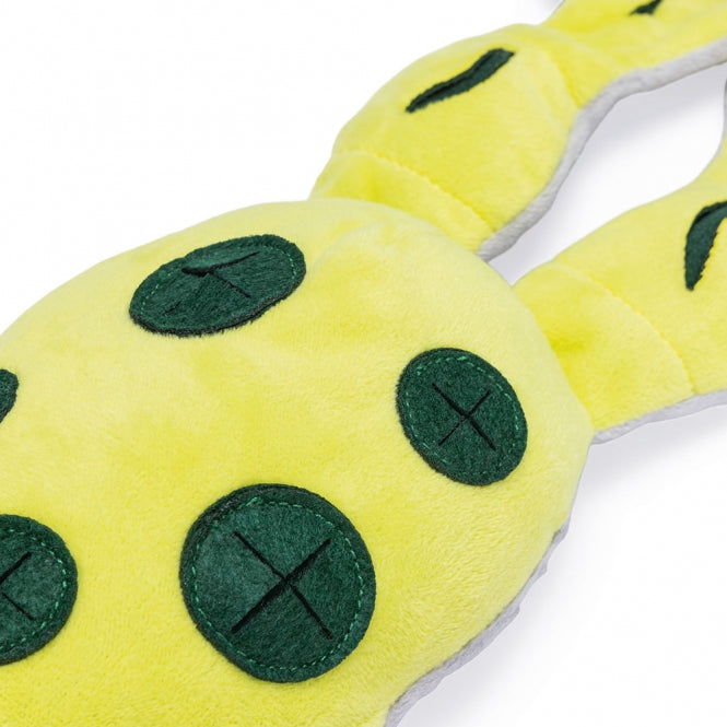 Beeztees - Verstoppertje Kikker