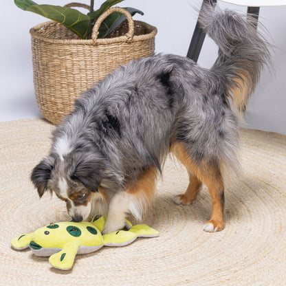 Beeztees - Verstoppertje Kikker