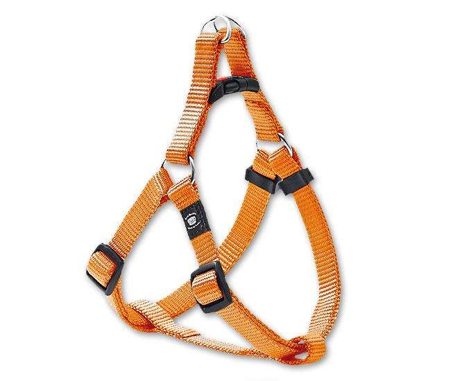 Karlie ASP Step&Go Tuig - Oranje - 10 mm, 36-52 cm