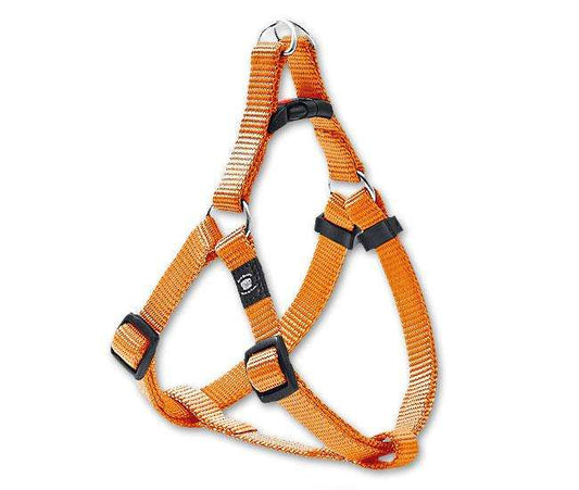 Karlie ASP Step&Go Tuig - Oranje - 10 mm, 36-52 cm