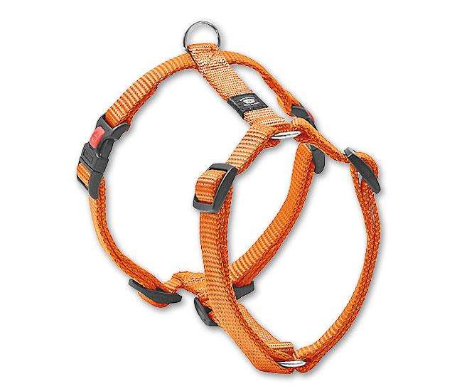 Karlie ASP Tuig - Oranje - 20 mm, 45-70 cm