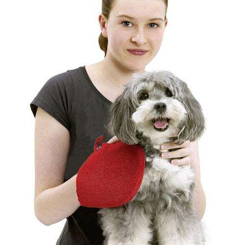 Karlie - Perfect Care Borstel & Reinigingshandschoen