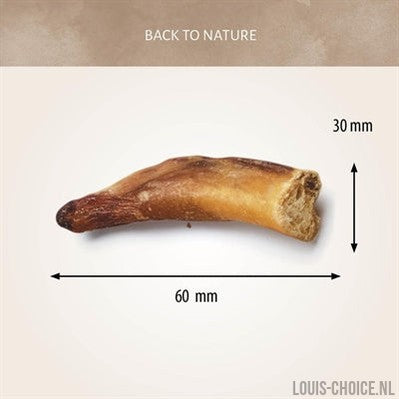 Antos Bullepeespuntjes-ANTOS-Louis Choice