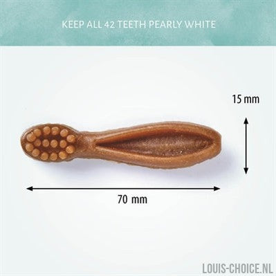 Antos Mixed Brush-ANTOS-Louis Choice