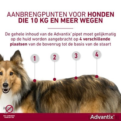 Bayer Elanco Advantix Spot On-BAYER-Louis Choice