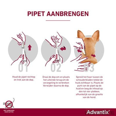 Bayer Elanco Advantix Spot On-BAYER-Louis Choice