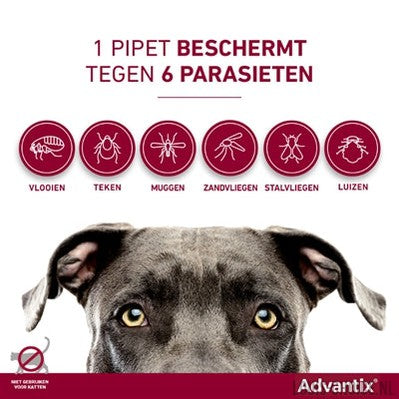 Bayer Elanco Advantix Spot On-BAYER-Louis Choice