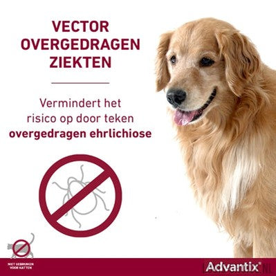 Bayer Elanco Advantix Spot On-BAYER-Louis Choice